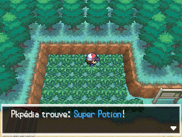 Route 3 Super Potion NB.png
