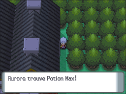Forge Fuego Potion Max DP.png