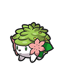 Shaymin