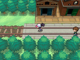 NB image 12.png