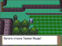Route 210 Tesson Rouge Pt.png
