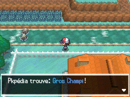 Route 6 Gros Champi NB.png