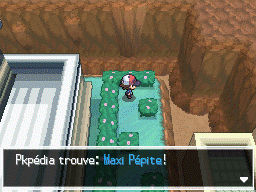 Vaguelone Maxi Pépite NB.png