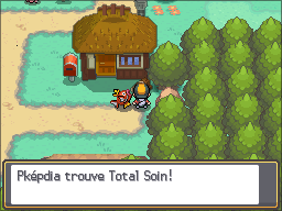 Ecorcia Total Soin HGSS.png