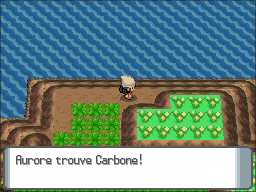 Chenal 230 Carbone DP.png