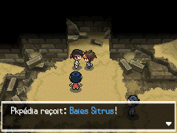 Fichier:Route 4 Baies Sitrus B2.png