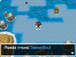 Fichier:Chenal 17 Tesson Bleu 2 N2B2.png