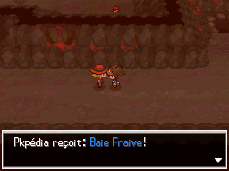 Fichier:Mont Renenvers Baie Fraive 1 Bl2.png