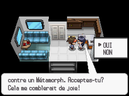 Fichier:Route 15 Max Élixir 1 N2B2.png