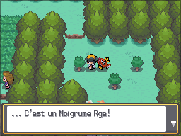 Route 36 Noigrume Rouge HGSS.png