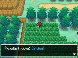 Fichier:Route 3 Calcium N2B2.png