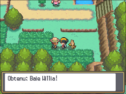 Route 31 Baie au Hasard HGSS.png