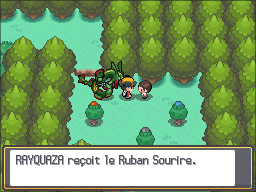 Route 37 Ruban Sourire HGSS.png