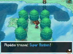 Fichier:Tourbière Flocombe Super Bonbon N2B2.png