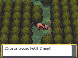 Bois aux Chênes Petit Champi 2 HGSS.png