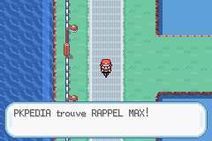Route 17 Rappel Max RFVF.png