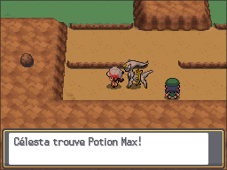 Route 9 Potion Max HGSS.png