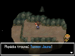 Fichier:Grotte Parsemille Tesson Jaune N2B2.png