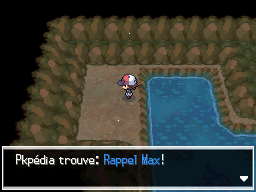 Route Victoire Rappel Max 1 NB.png