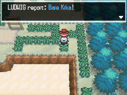 Route 1 Baie Kika 2 NB.png