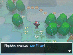 Route 8 Max Élixir NB.png