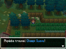 Fichier:Forêt d'Empoigne Champi Suave N2B2.png