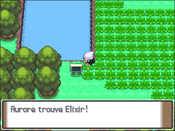Route 212 Elixir Pt.png
