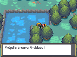Bois Aux Chênes Antidote visible HGSS.png
