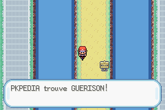 Route 17 Guérison RFVF.png