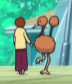 Doduo XY001.png
