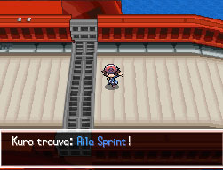 Pont Yoneuve Aile Sprint NB.png