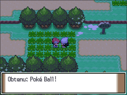Route 202 Poké Ball Pt.png