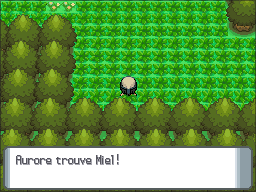 Route 221 Miel 2 DP.png