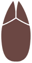 Empreinte 0215 DEPS.png