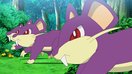 Fichier:LV120 - Rattata.png