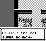 Manoir Pokémon (Kanto) Super Bonbon RB.png