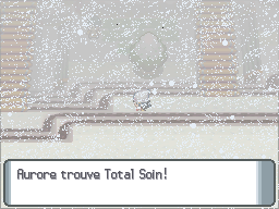 Route 216 Total Soin DP.png