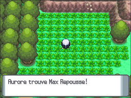 Route 225 Max Repousse DP.png