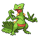 3e Génération - Hoenn Sprite_0254_DP