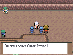 Route 207 Super Potion Pt.png