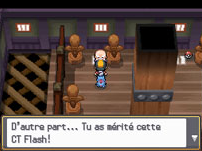 tour chetiflor pokemon cristal