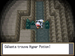 Antre Noir Hyper Potion 2 HGSS.png