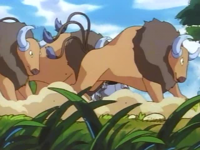 Fichier:Tauros3.png