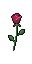 Parure Rose.png