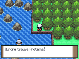 Route 221 Protéine Pt.png