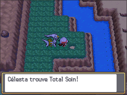 Route 45 Total Soin HGSS.png