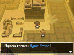 Fichier:Route 4 Hyper Potion B2.png