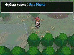 Route 8 Baie Pêcha 2 NB.png