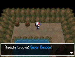 Route Victoire Super Bonbon NB.png