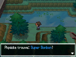 Fichier:Forêt d'Empoigne Super Bonbon N2B2.png